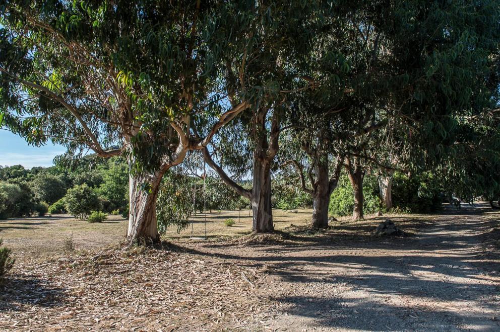 Holiday home Les Jardins De Foata Barbaggio