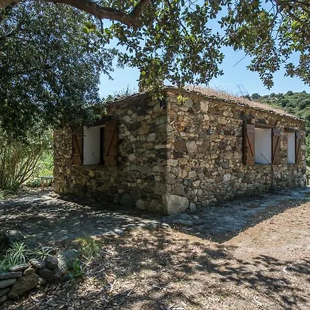Les Jardins De Foata Villa Barbaggio Exterior photo