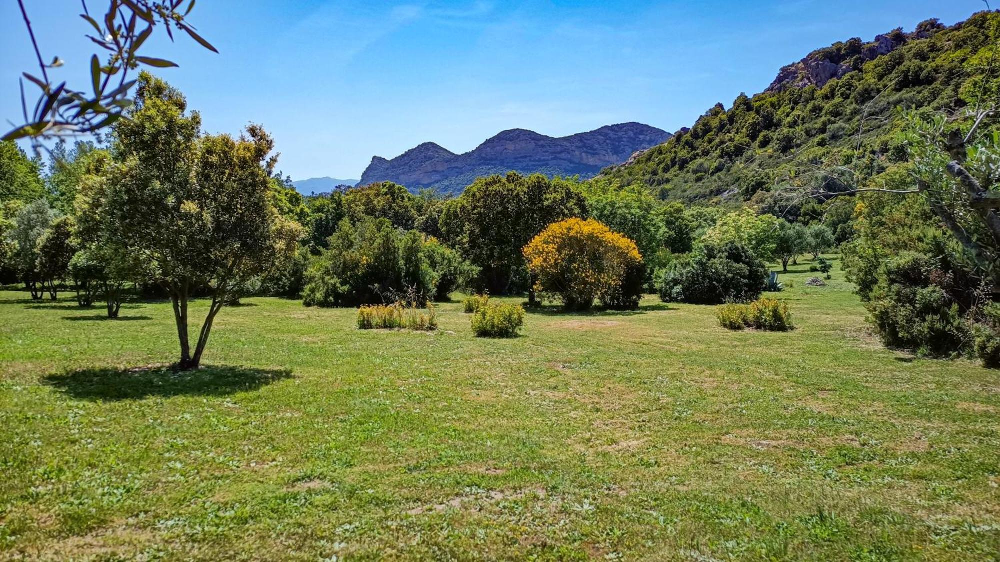 Holiday home Les Jardins De Foata Barbaggio