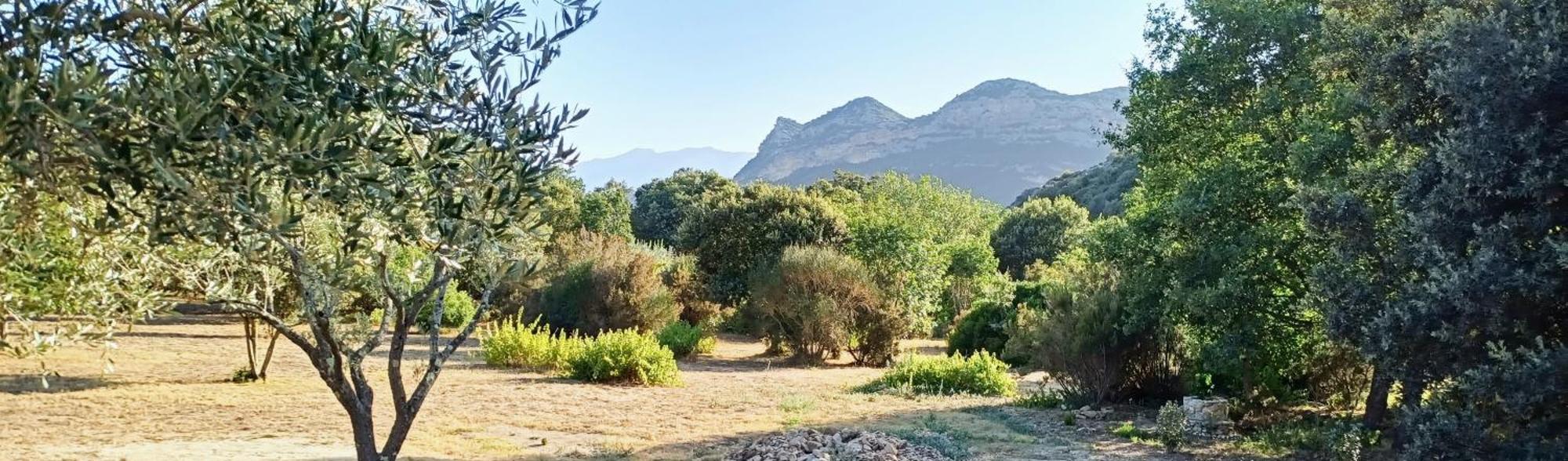 Les Jardins De Foata Ferienhaus