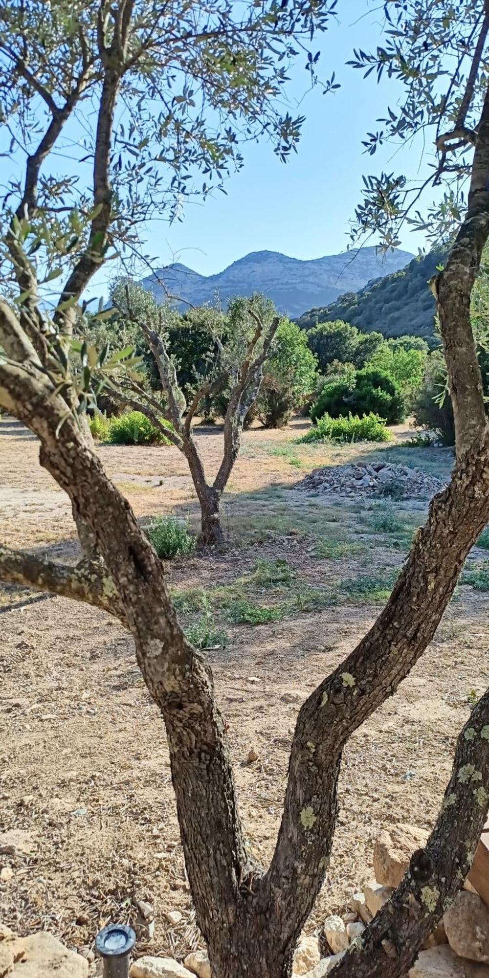 Les Jardins De Foata Ferienhaus *