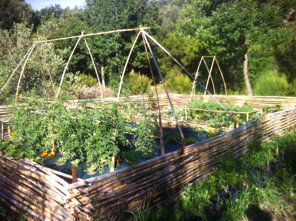 Les Jardins De Foata * Barbaggio