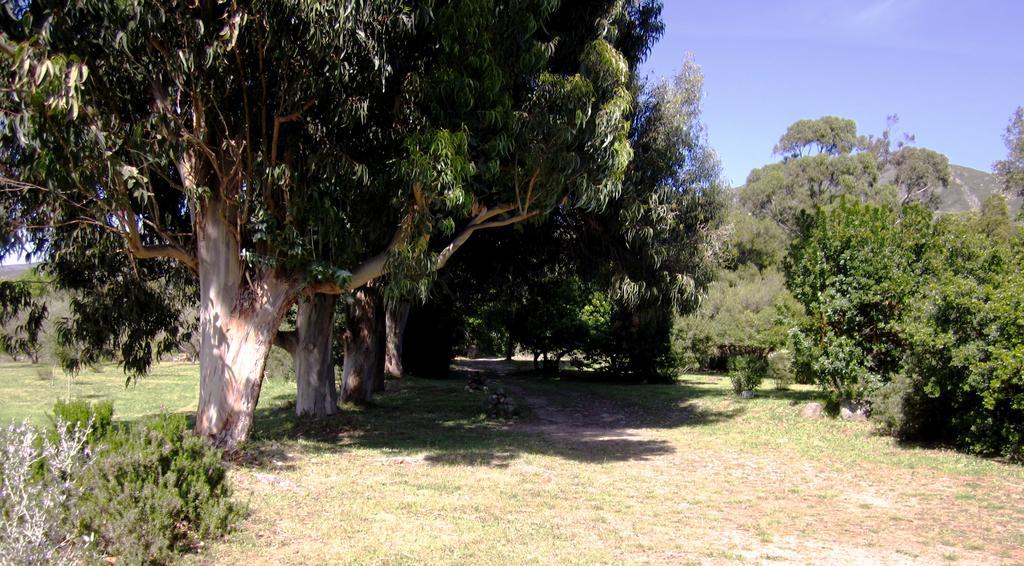 Les Jardins De Foata Barbaggio