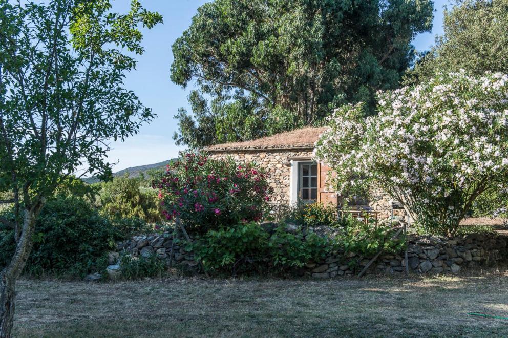 Les Jardins De Foata Holiday home Barbaggio