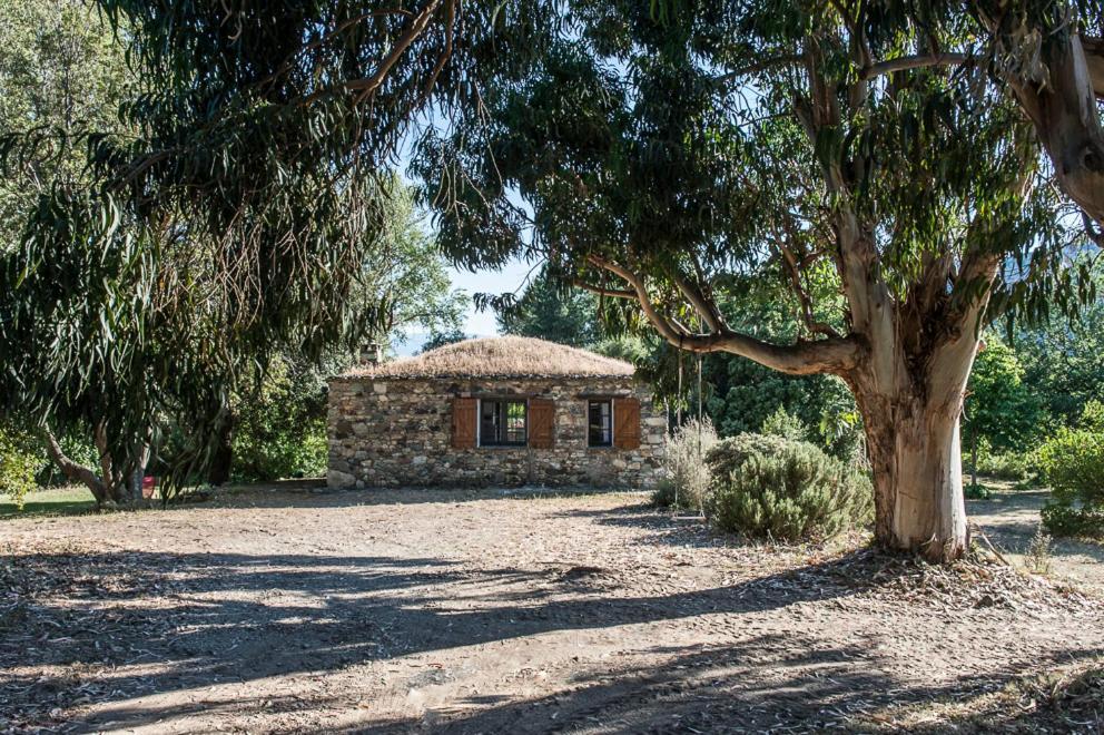 Holiday home Les Jardins De Foata Barbaggio