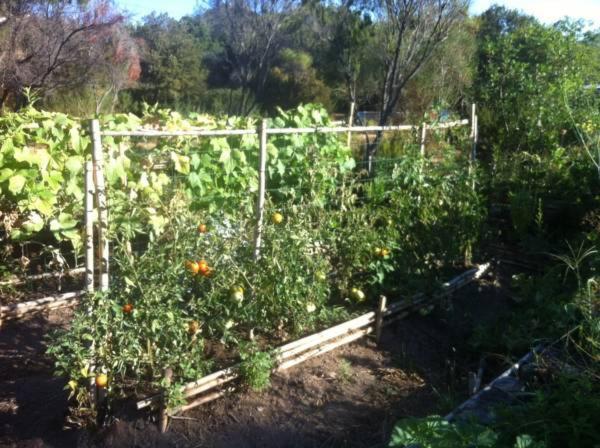 Les Jardins De Foata * Barbaggio